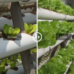 cleantech