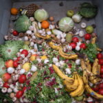 Transforming Food Waste into Fertilizer: The Art of Composting